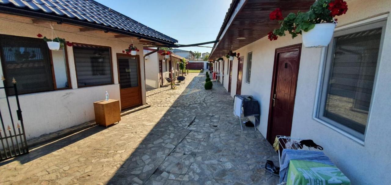 Apartamento Pagini Din Vama Vama Veche Exterior foto