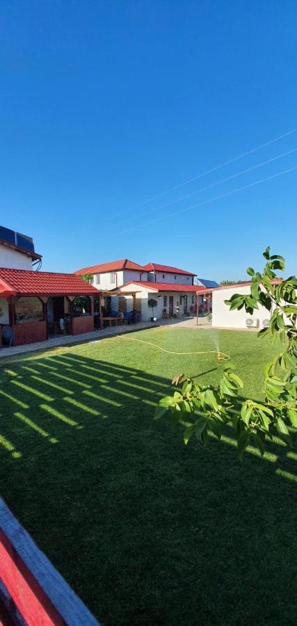 Apartamento Pagini Din Vama Vama Veche Exterior foto