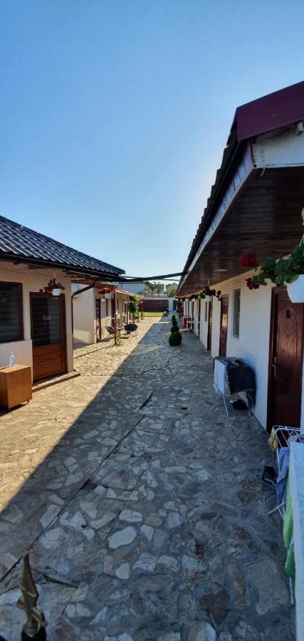 Apartamento Pagini Din Vama Vama Veche Exterior foto