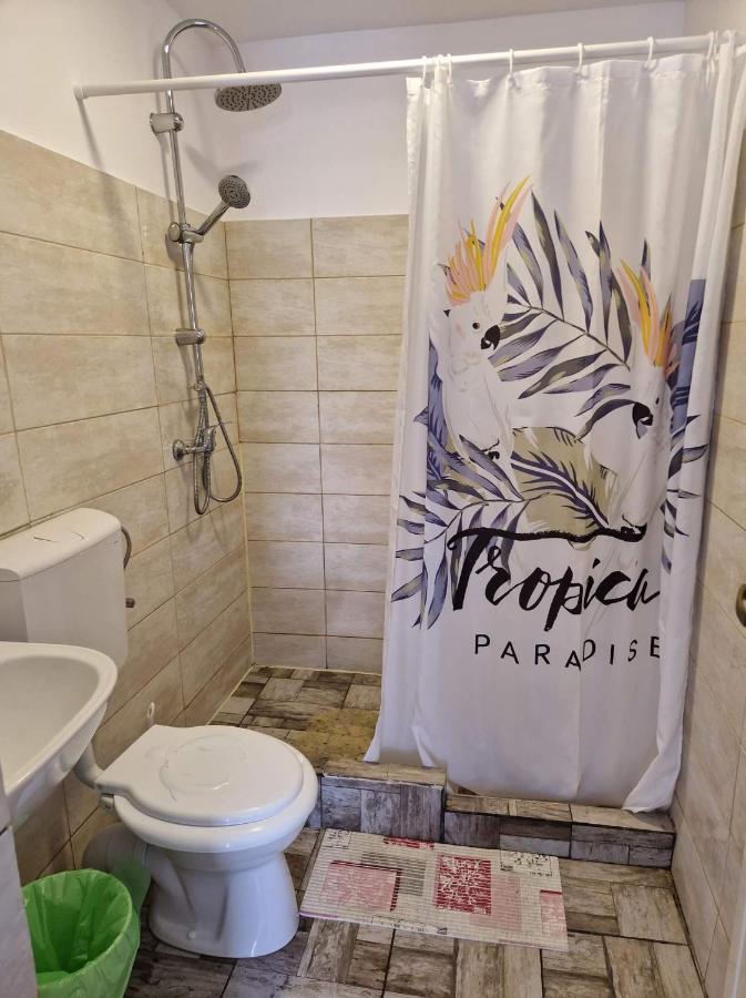 Apartamento Pagini Din Vama Vama Veche Exterior foto