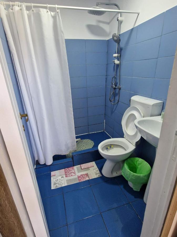 Apartamento Pagini Din Vama Vama Veche Exterior foto