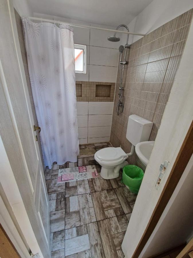 Apartamento Pagini Din Vama Vama Veche Exterior foto